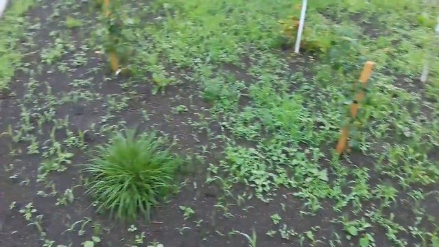 Укладка плитки Краснодар смотреть онлайн