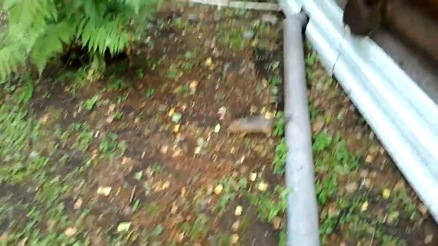 Земляные белки смотреть онлайн