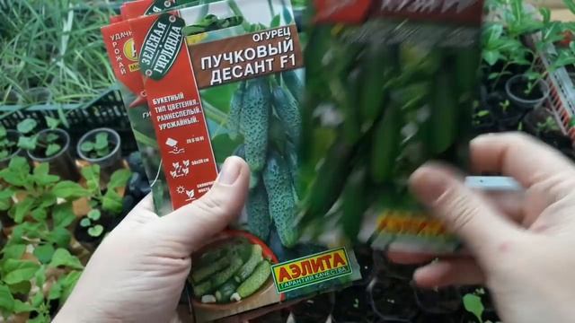 Семена от Аэлиты для тестирования .Обзор. смотреть онлайн