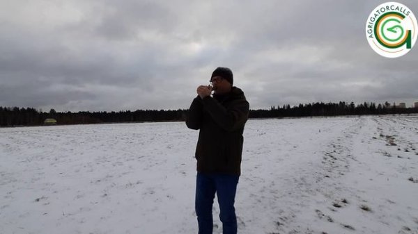 Манки на белолобого гуся RCC Poly speck &Redbone Dark Resin.