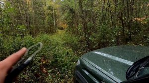 ЛАДА Нива ТРЕВЕЛ. Боевой ВЫЕЗД в ЛЕС...