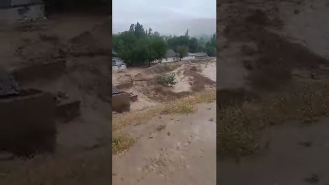 Авария в кули Сарез смотреть онлайн