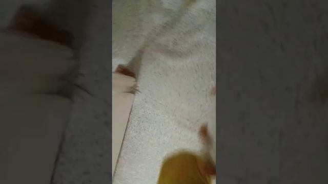 5 тролинг Мишутки который нелюбил кто его постоянно бил его мучили и не мешать делать уроки смотреть онлайн