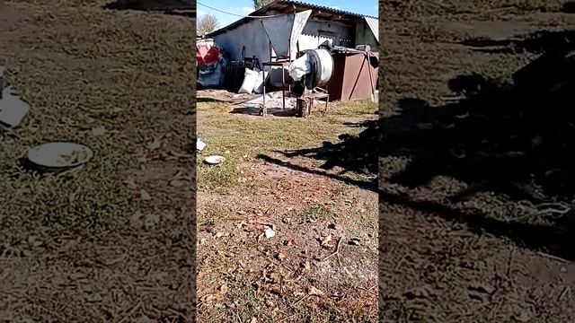 Надо или нет поить бройлеров кокцидиками. смотреть онлайн