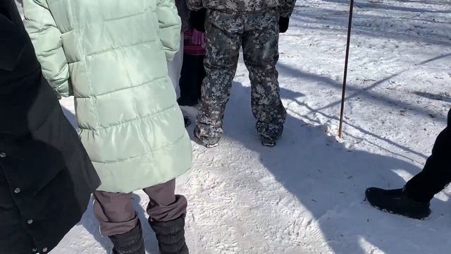 Выставка охотничьих собак в Вологде март 2023 смотреть онлайн