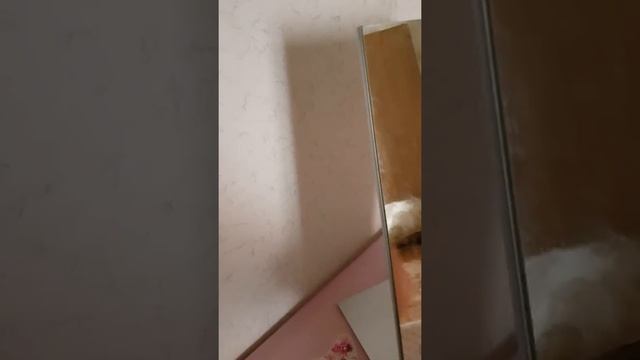 Мытье окон, зеркал без применения моющих (химических средств смотреть онлайн