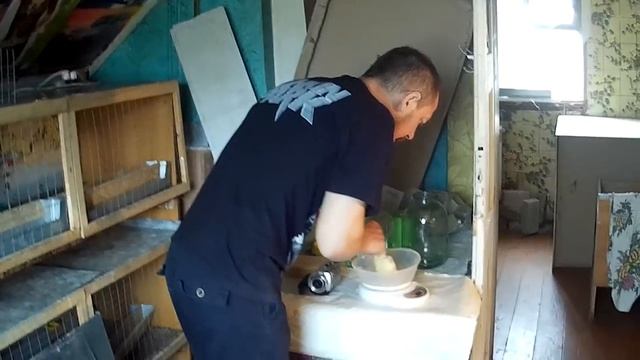 (ч.13)Выращивание бройлеров в домашних условиях. Закупка цыплят Кобб 500. смотреть онлайн