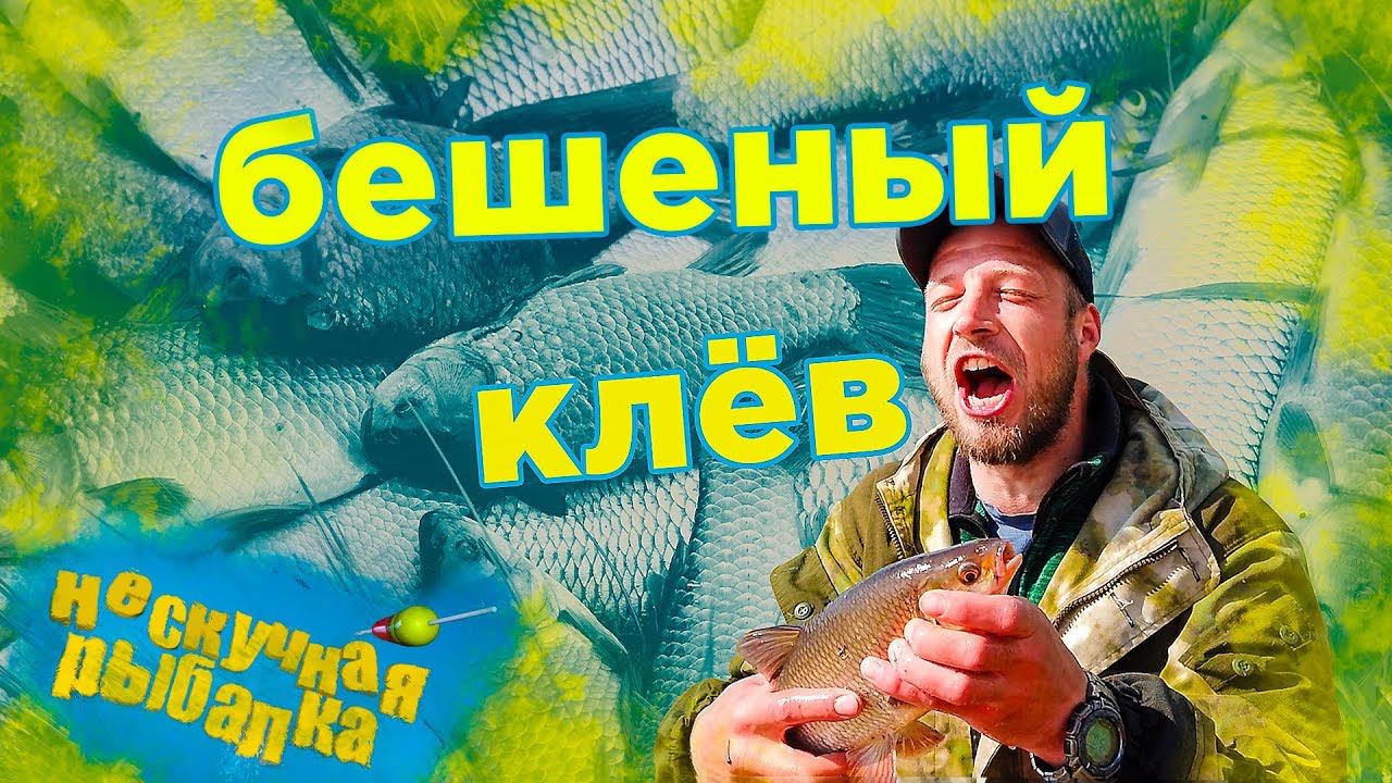 Рыба сошла с ума. Бешеный клев. Лучшая рыбалка.