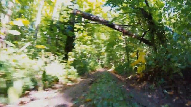 Forest ride on Gotway Msuper V3 смотреть онлайн