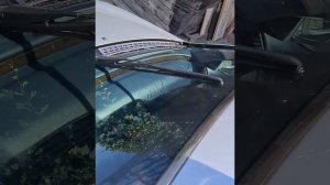 Датчик дождя (Rain Sensor) на Mercedes w208/w210 #белаящука #w208 #w210