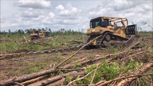 CHAINING FLORIDA PANHANDLE HURRICANE DAMAGED LAND смотреть онлайн