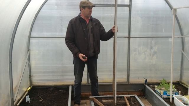 Моя поликарбонатная теплица, расположение грядок. смотреть онлайн