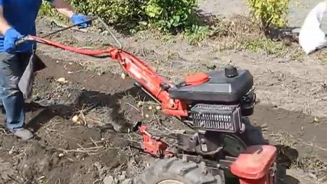 Копія відео Копаем картошку мотоблоком VARI смотреть онлайн