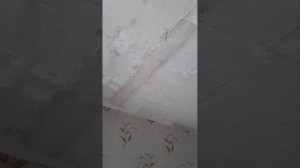 Демонтаж потолочной плитки..mp4