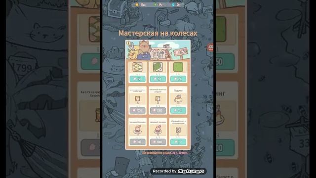 Кошки и суп! Облачный рэгдолл!