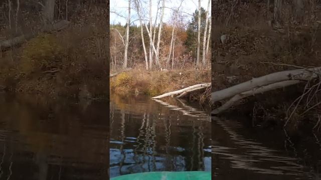 Осенний сплав на лодке смотреть онлайн