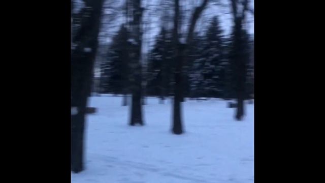 Парки Липецка, гуляю по Быханов саду смотреть онлайн