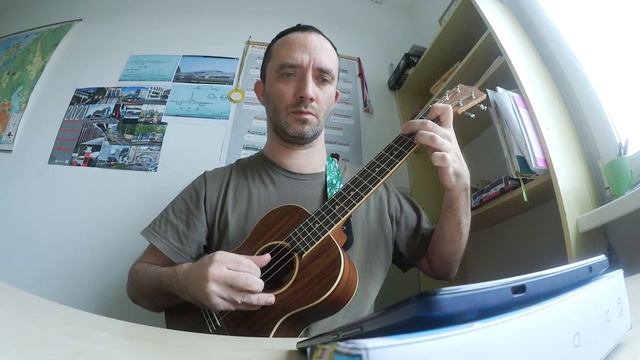 16 Studies for Baritone ukulele on Bass Strings смотреть онлайн