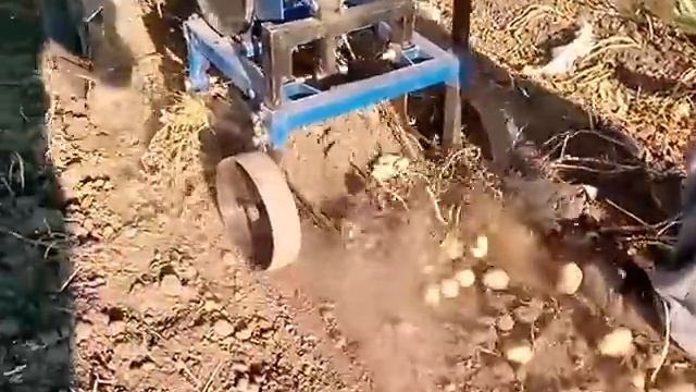 Вибрационная картофелекопалка Garden Scout (Полтава, Украина) с мотоблоком Нева МБ-1 смотреть онлайн