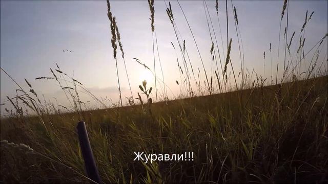 Классный налёт гусей!!! смотреть онлайн