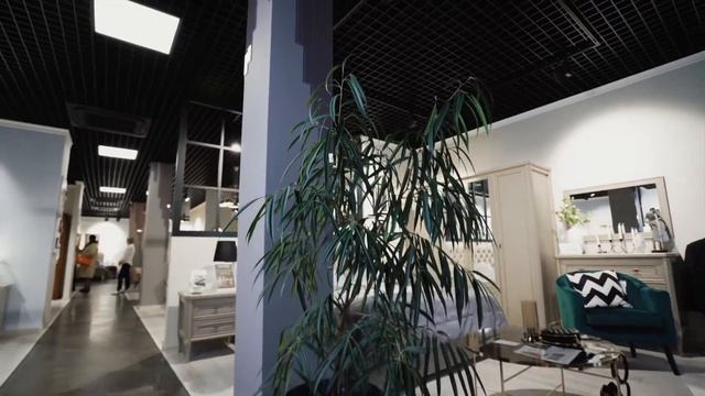 Растения в интерьере смотреть онлайн