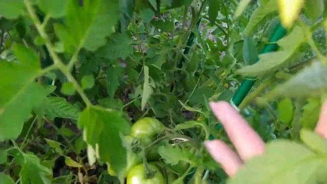 Станица смотреть онлайн