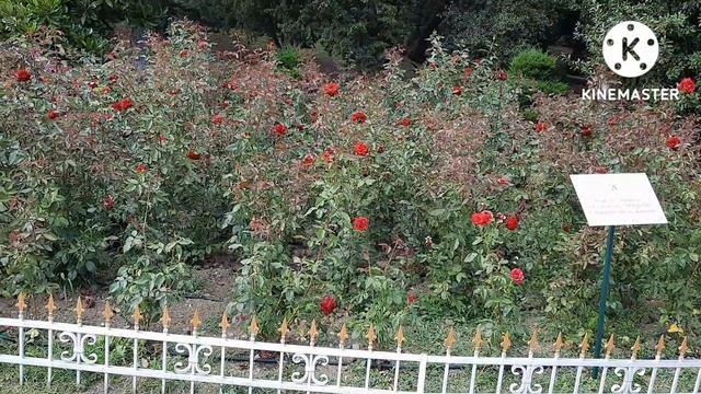 Крым. Какое море в Семидворье? Ливадийский дворец. смотреть онлайн