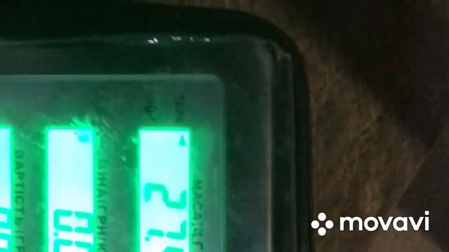 Три дня поросятам, какой вес?какие процедуры делаю? #свиноводство смотреть онлайн