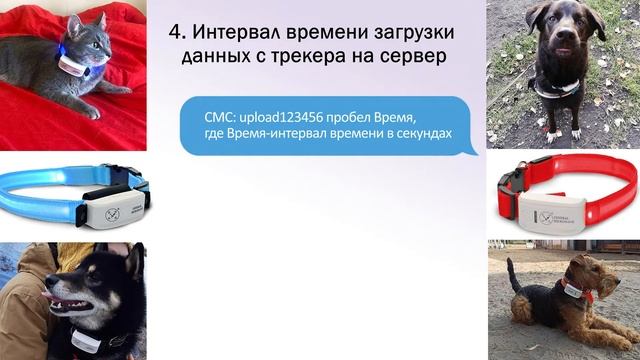 СМС-команды TK909/911-GMW смотреть онлайн