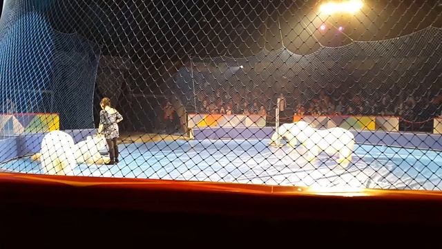 Цирк в Автово "Белые медведи" смотреть онлайн