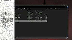 Решение ошибки: Черный экран Fallout 4 (300Гц)