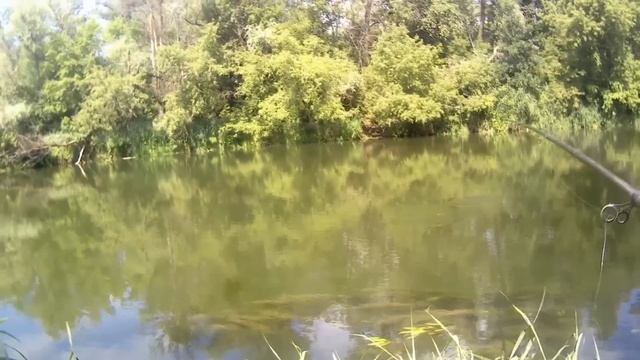 РЫБАЛКА НА ПОПЛАВОК В КОНЦЕ ИЮЛЯ 2022! смотреть онлайн