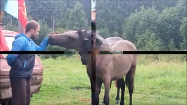 рыбалка на карпа челябинская область смотреть онлайн