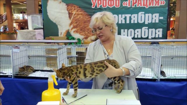 Ринг 