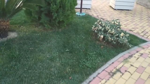 Новогодний Сочи. смотреть онлайн