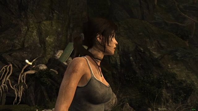 tomb raider benchmark pc test nvidia gtx 970 256bits gddr5 4gb смотреть онлайн