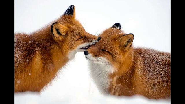 Делаю мастер классы))) смотреть онлайн