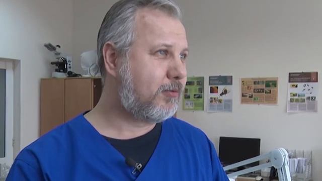 О риске появления в Ростовской области коричнево-мраморного клопа смотреть онлайн