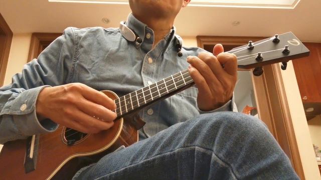 Can't help falling in love with you (David Ukulele) смотреть онлайн