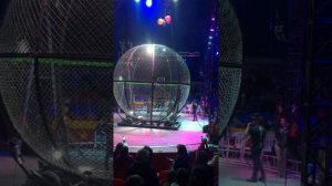 Цирк Шапито Демидовых