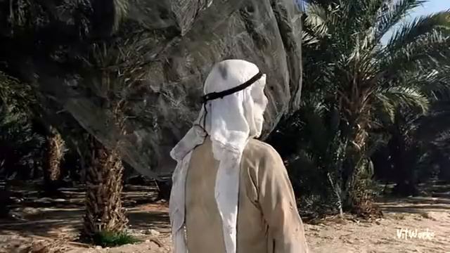 342 Не нравится мне этот гусь смотреть онлайн