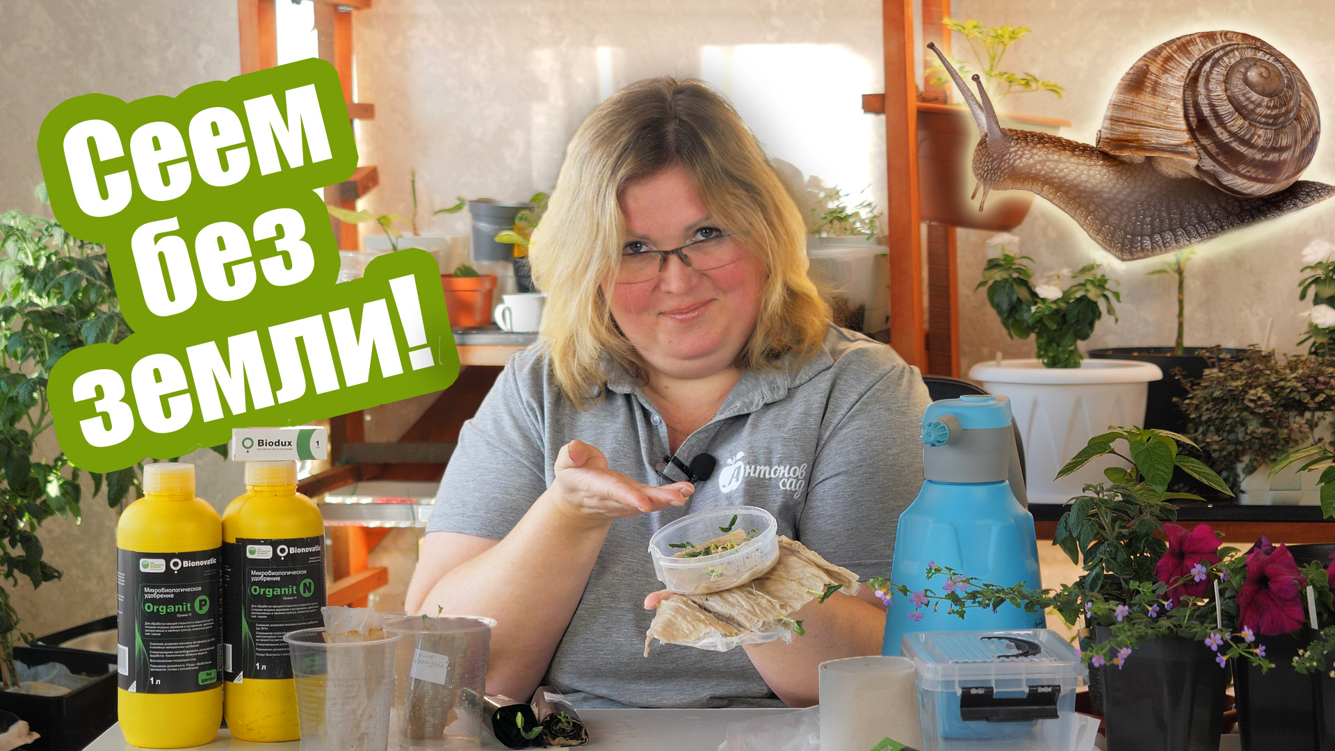 Рассада без земли: как вырастить рассаду на салфетке и в улитке смотреть онлайн