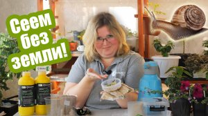 Рассада без земли: как вырастить рассаду на салфетке и в улитке