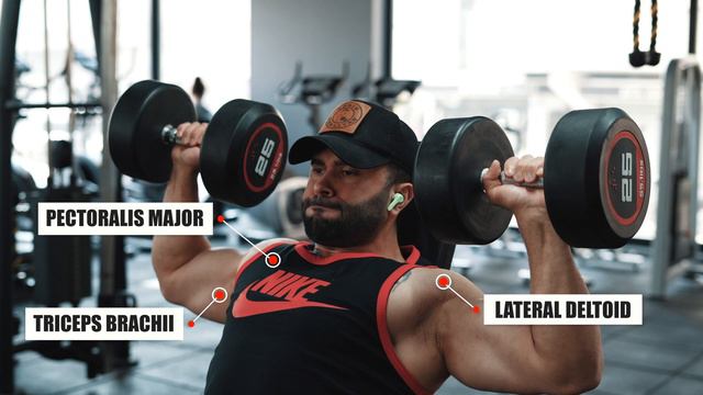 Dumbbell Seated Shoulder Press смотреть онлайн