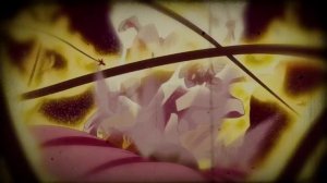 Jigokuraku [Адский рай] - Анонс 2 сезон