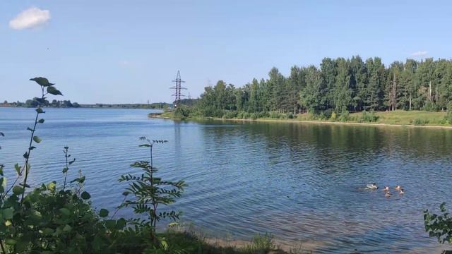 Природа Удомельского городского округа смотреть онлайн