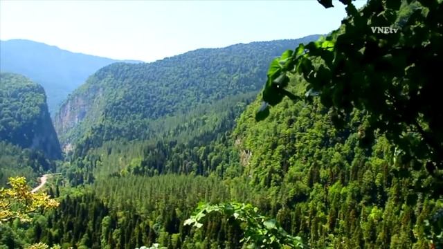 Семейные оздоровительно-образовательные туры с изучением иностранного языка в Красной поляне смотреть онлайн