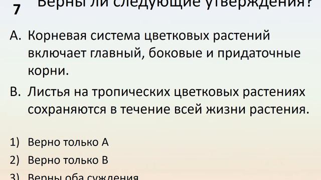 Б7 11 Отдел Покрытосеменные смотреть онлайн
