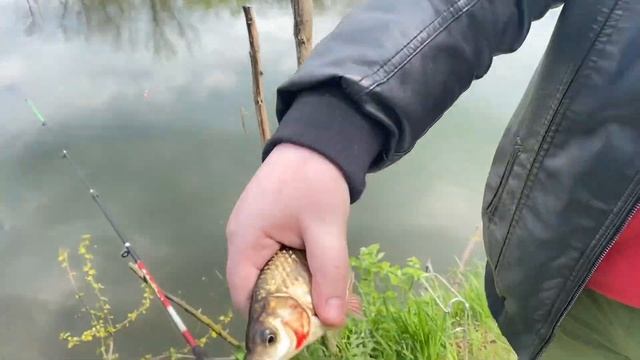 Мишка Журавлев на рыбалке смотреть онлайн