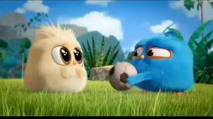 Angry birds Baby